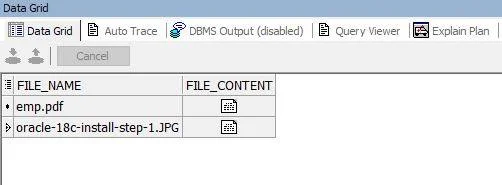 insert a file in Oracle database. A file can be a PDF, Image, etc.
