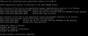 Oracle Apex 19.1