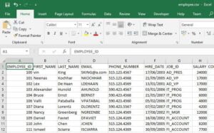 CSV File.