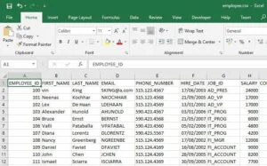 CSV File.