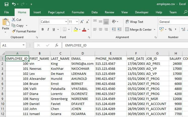 CSV File.