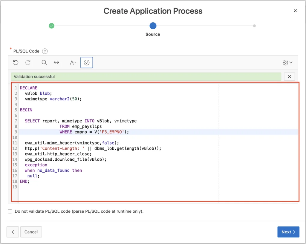 PL/SQL code application process.
