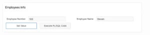 Oracle Apex set page item value using PL/SQL.