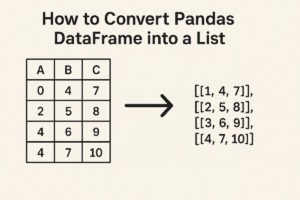 Showing DataFrame conversion to list.