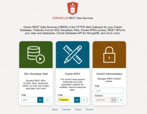 Oracle APEX getting started landing page.