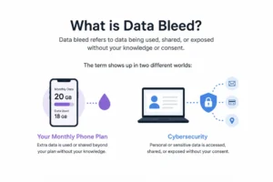 Data bleed.