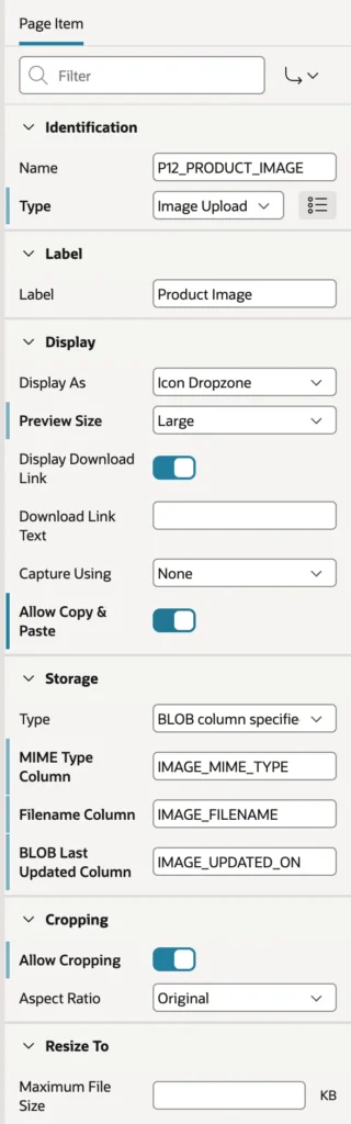 The settings of an Image Upload item in Oracle APEX