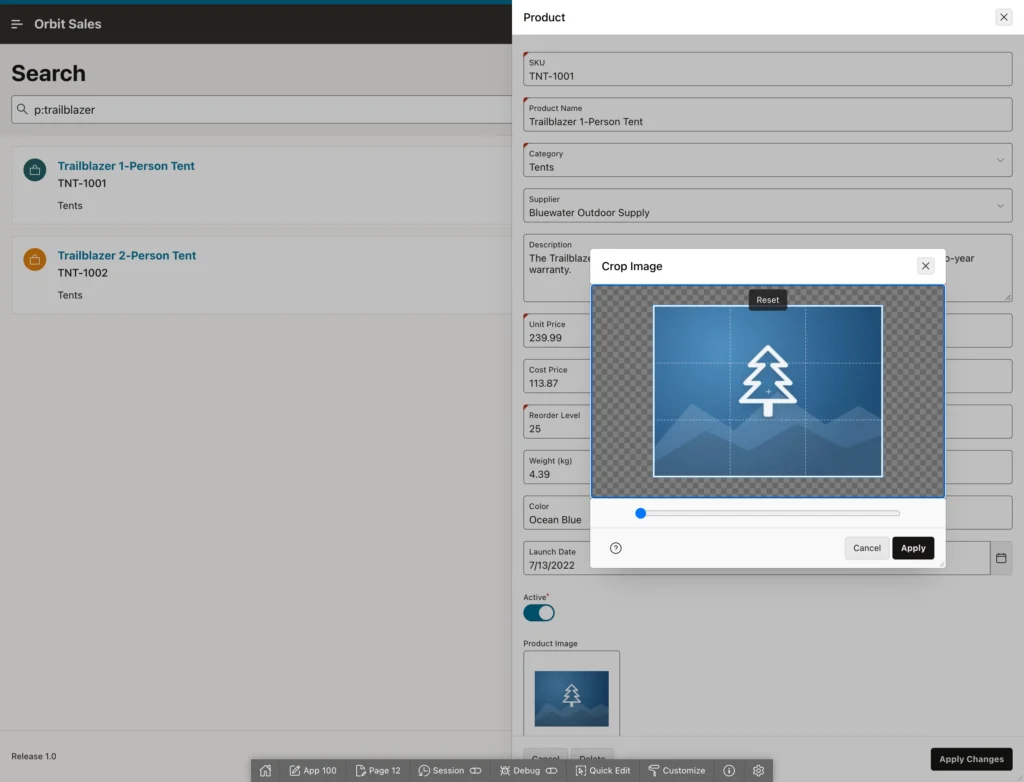 The crop image dialog of an Oracle APEX image upload item
