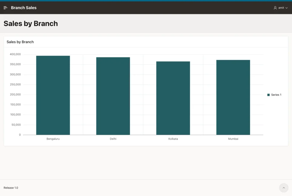 Sales by Branch chart signed in as amit, with bars for all four branches