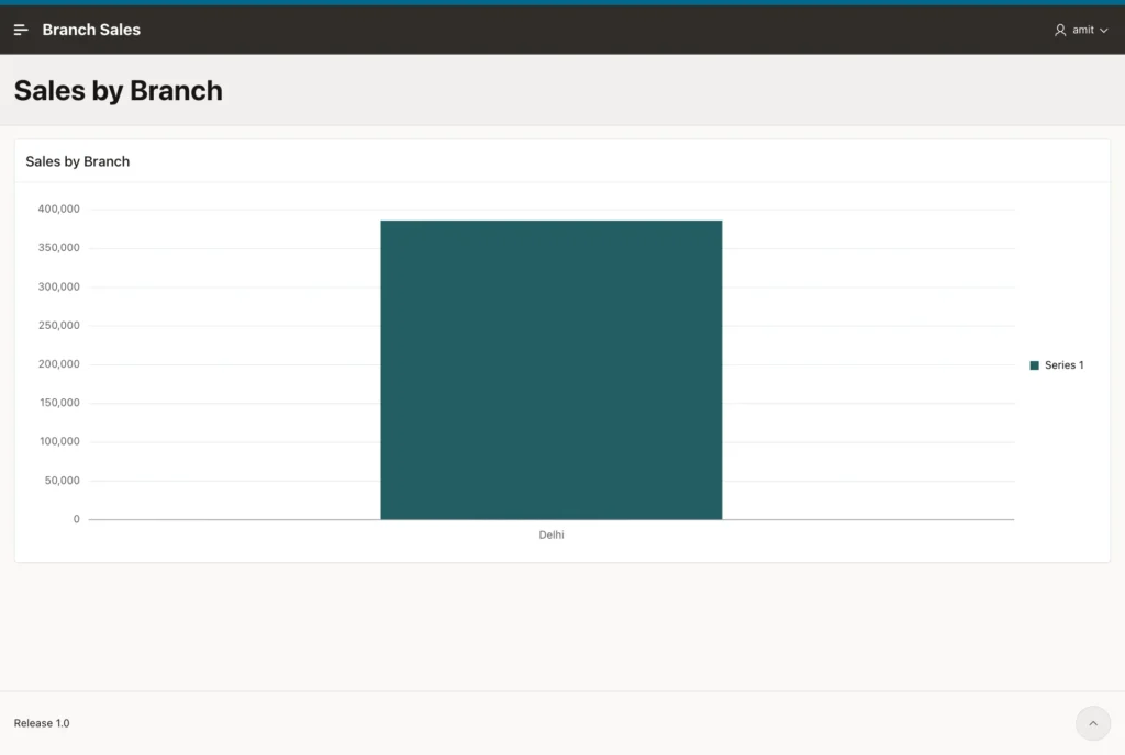 Sales by Branch chart signed in as amit with a single bar for Delhi