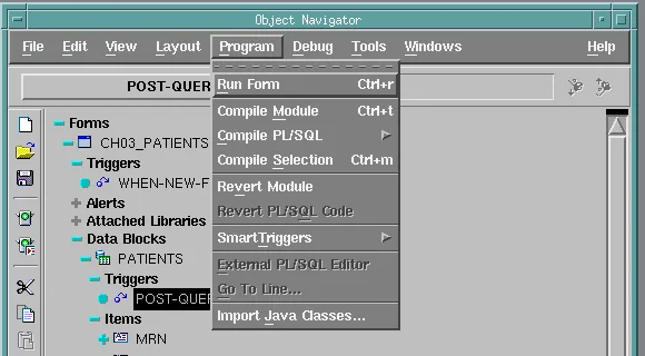 The Program menu of Oracle Forms Builder