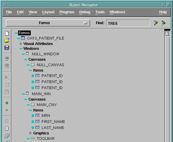 Visual View of the Oracle Forms Object Navigator showing windows, canvases, and items