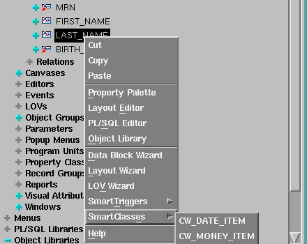 Oracle Forms SmartClasses right-click menu for a text item