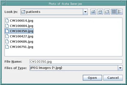 WebUtil file open dialog on the user's computer in Oracle Forms