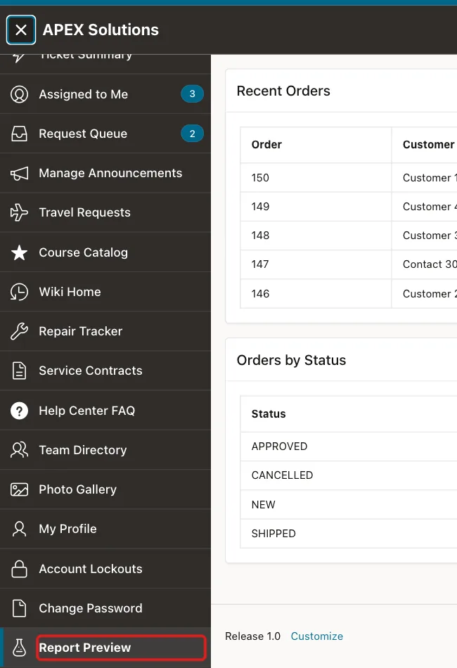 Navigation menu ending with the entry Report Preview marked with a red box