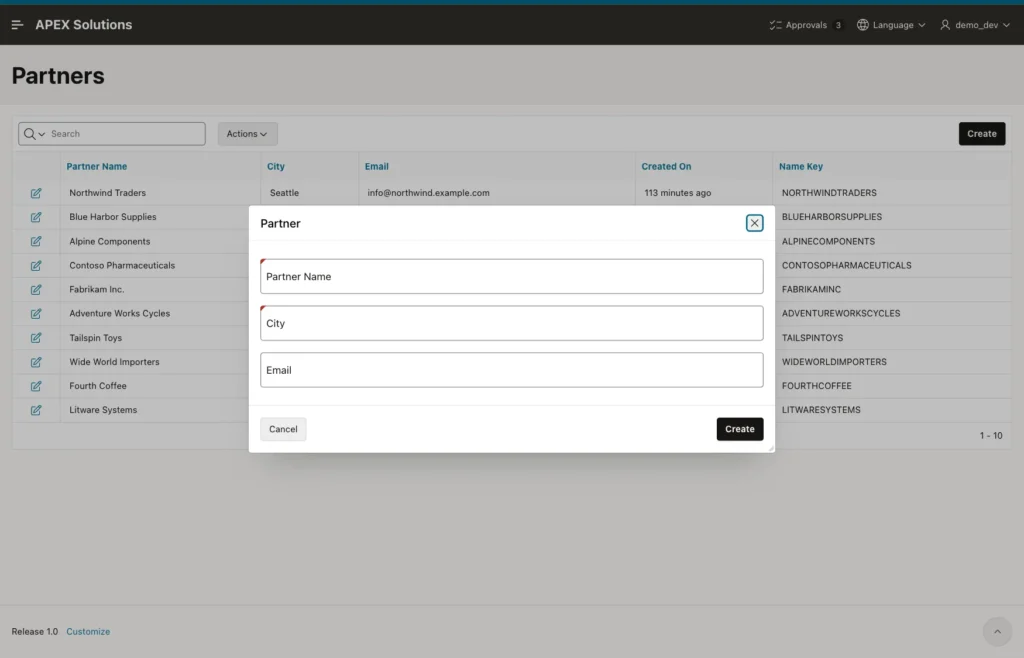 Partner dialog with empty Partner Name, City and Email fields and no warning region