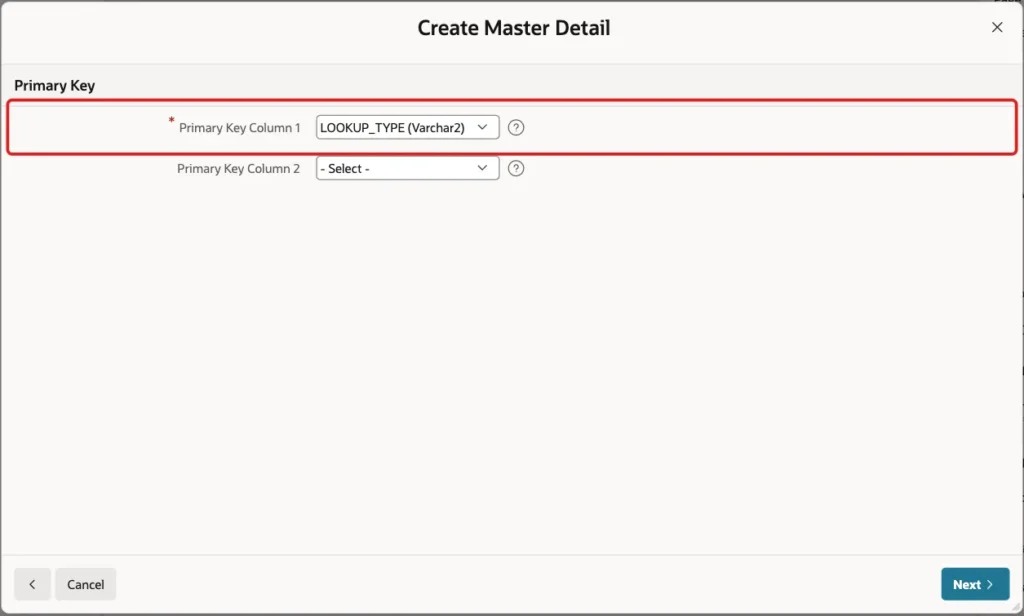 Primary Key screen with LOOKUP_TYPE selected and marked with a red box