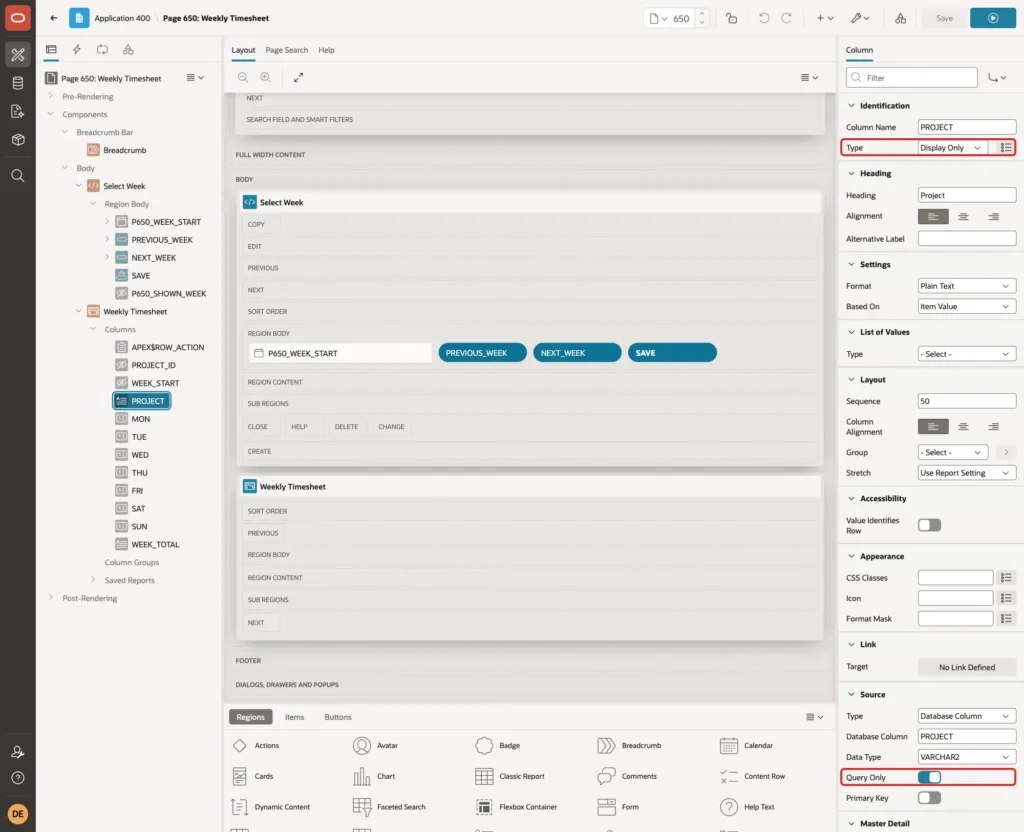 Page Designer column PROJECT with Type Display Only and Query Only marked with red boxes